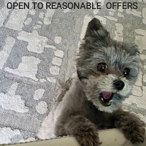 OPEN TO REASONABLE OFFERS